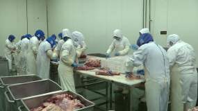 肉制品生产视频素材下载, 肉制品生产ae模板下载_vj师网